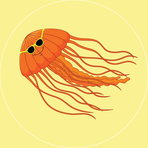 Toddler Level 2: Jellyfish