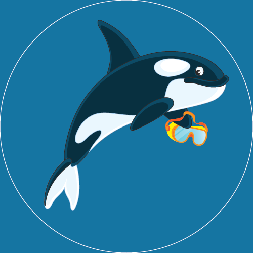 School-Age Orca Swim Team