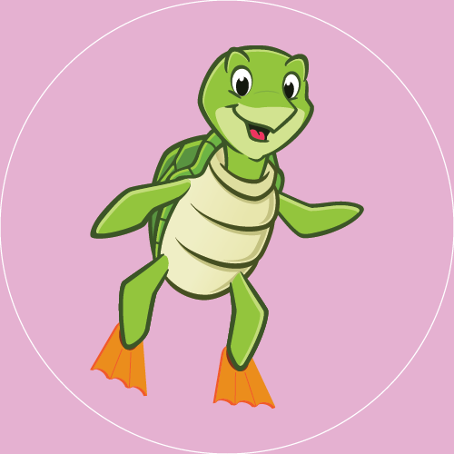 Preschool Level 3: Turtle